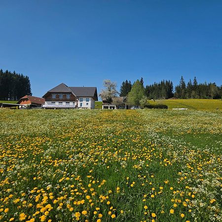 Lorenzenhaeusle Titisee-Neustadt Esterno foto