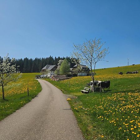 Lorenzenhaeusle Titisee-Neustadt Esterno foto