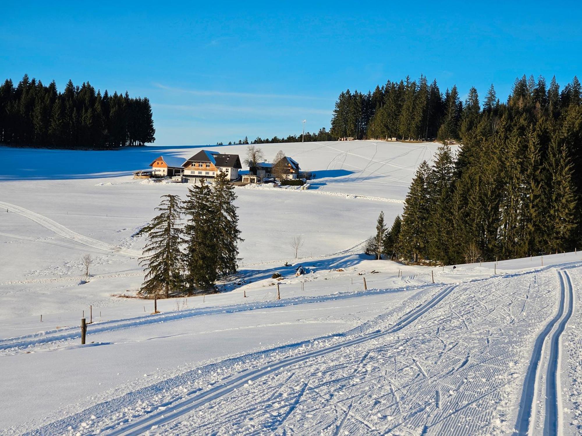 Lorenzenhaeusle Titisee-Neustadt Esterno foto