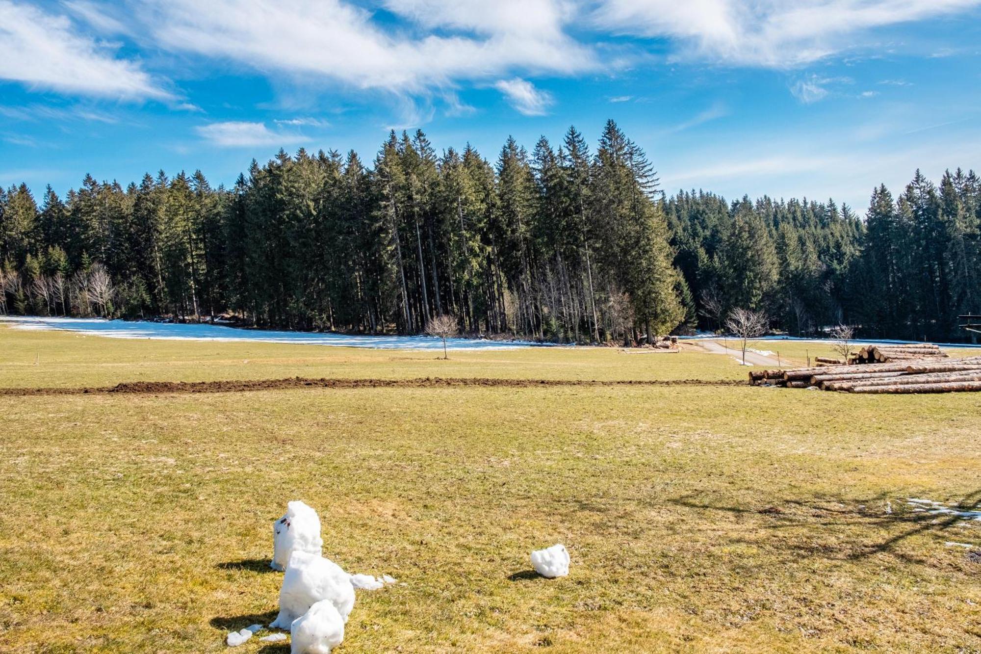 Lorenzenhaeusle Titisee-Neustadt Esterno foto