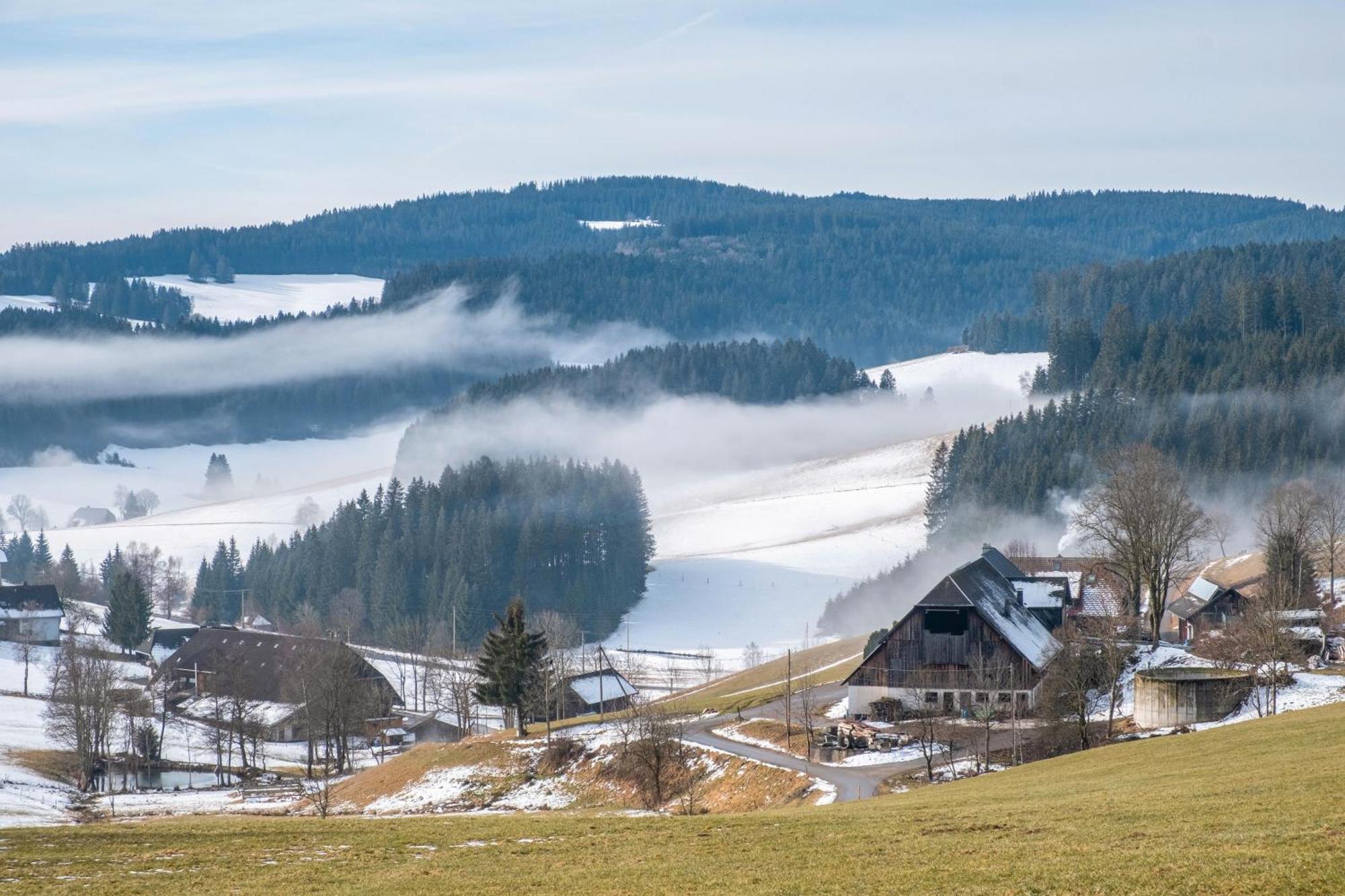 Lorenzenhaeusle Titisee-Neustadt Esterno foto