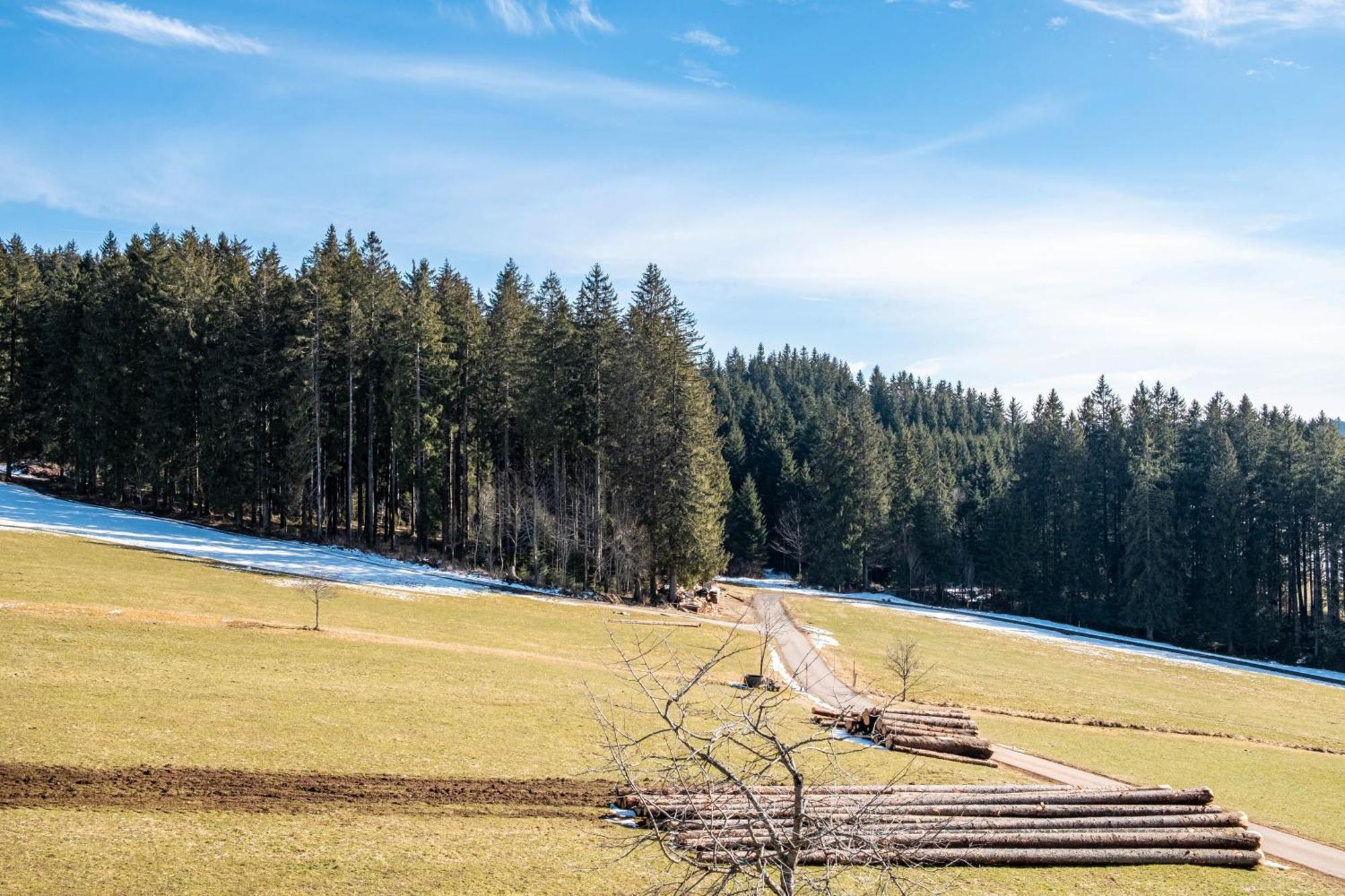 Lorenzenhaeusle Titisee-Neustadt Esterno foto