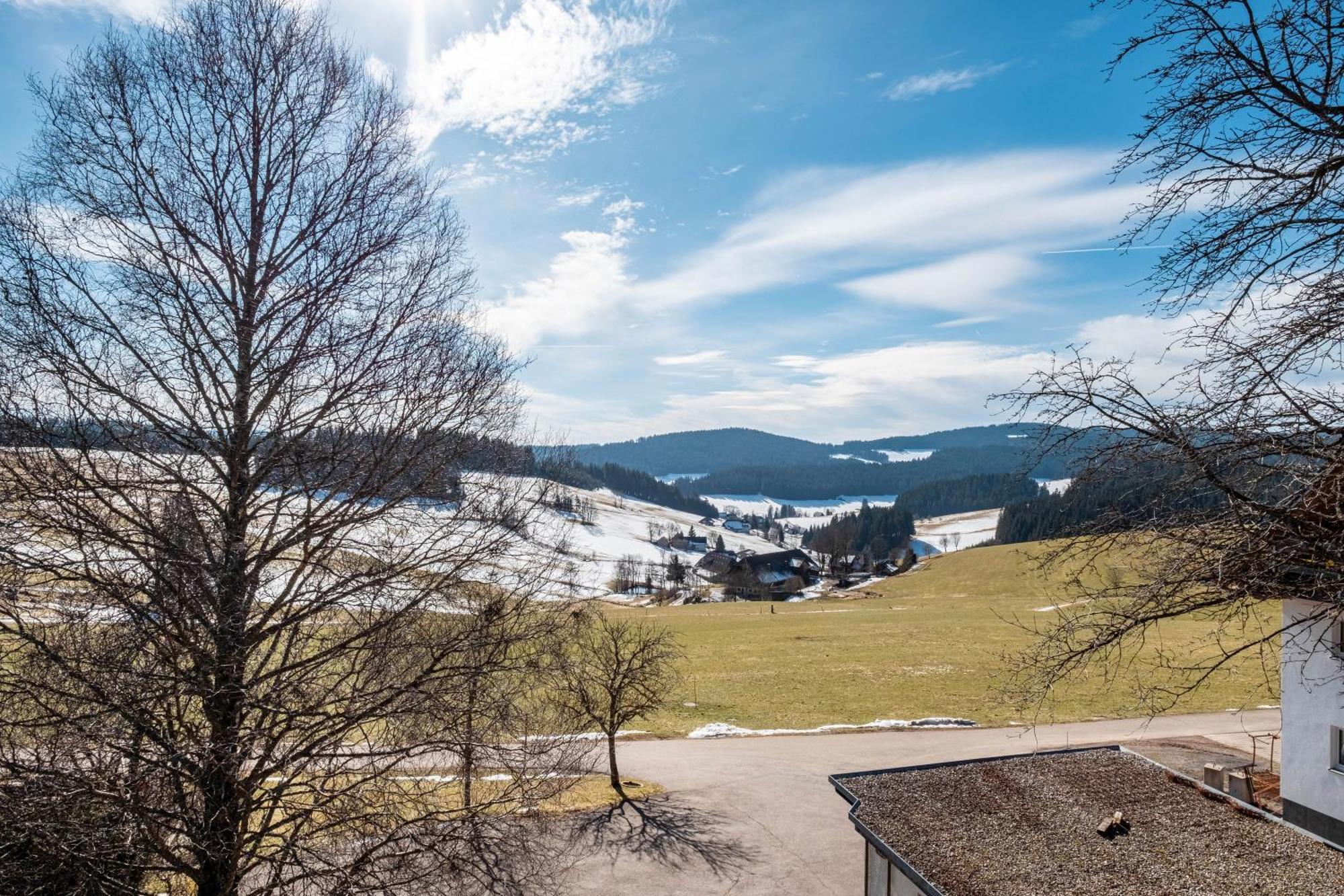 Lorenzenhaeusle Titisee-Neustadt Esterno foto