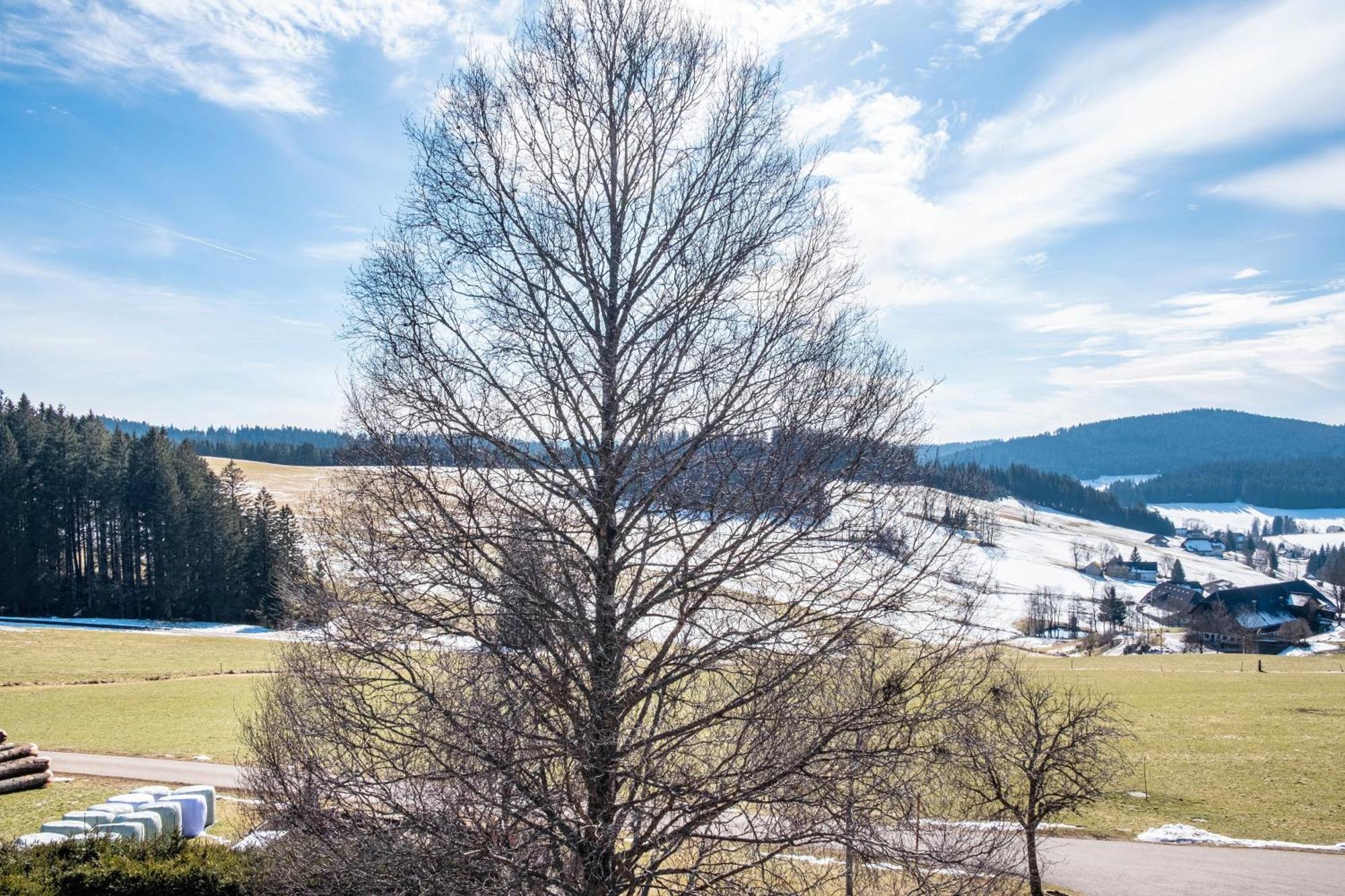 Lorenzenhaeusle Titisee-Neustadt Esterno foto