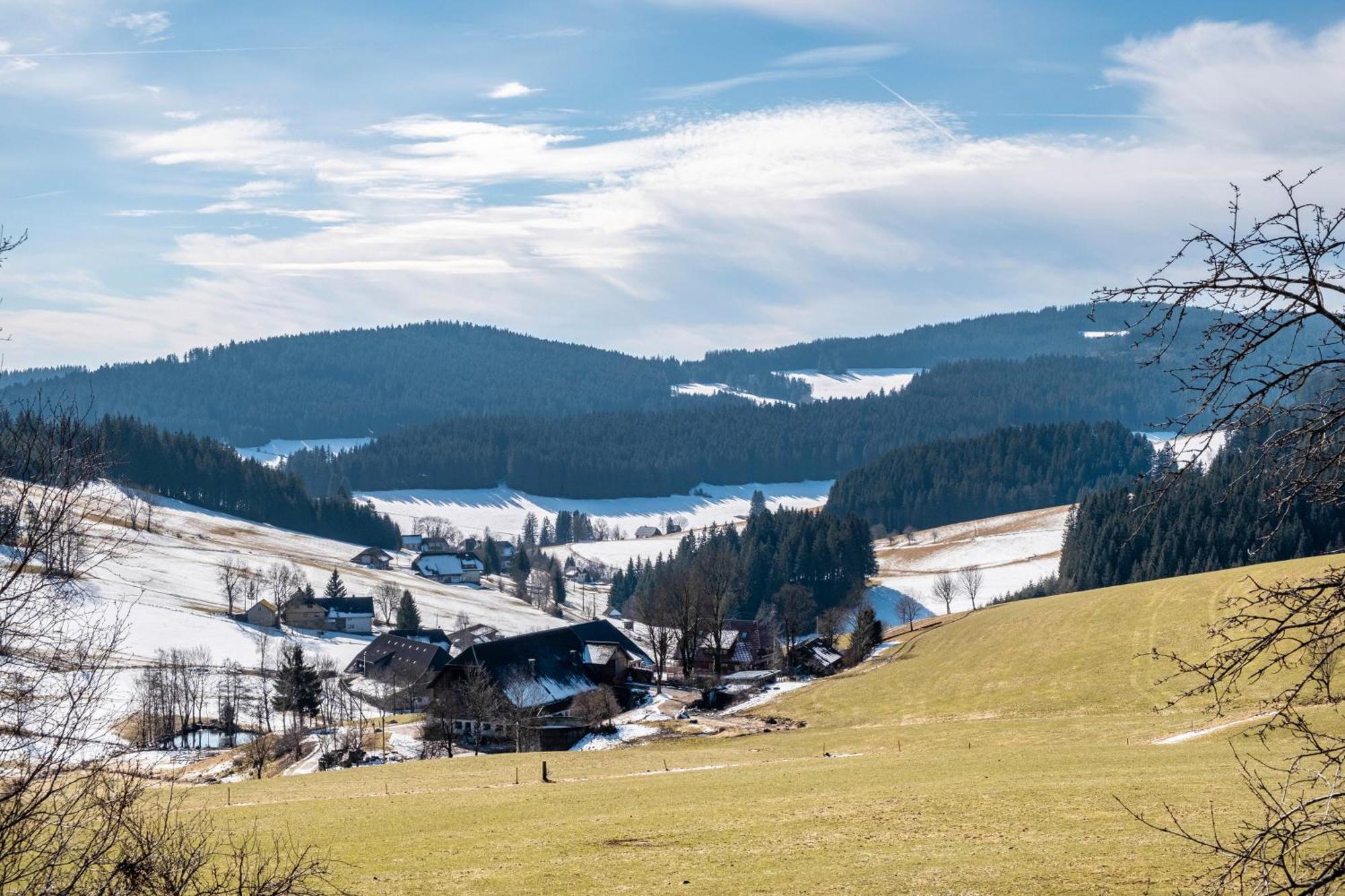 Lorenzenhaeusle Titisee-Neustadt Esterno foto