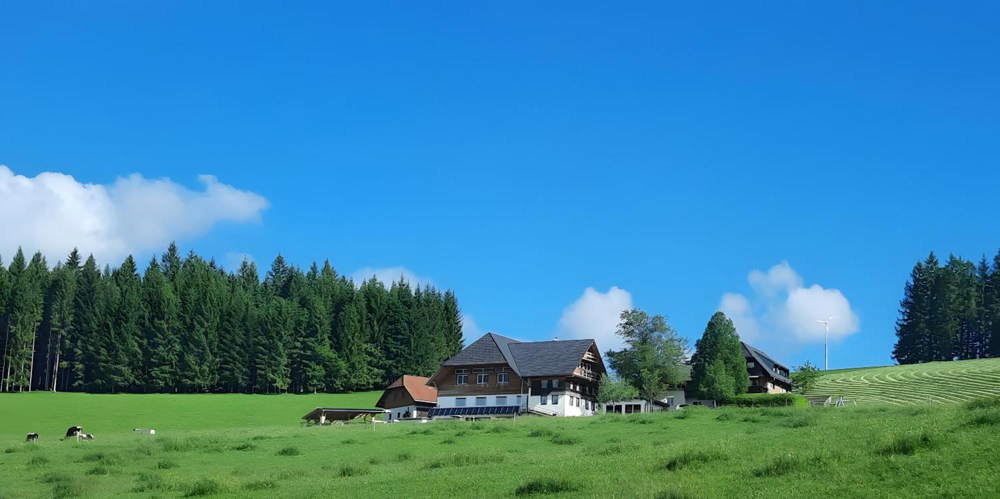 Lorenzenhaeusle Titisee-Neustadt Esterno foto