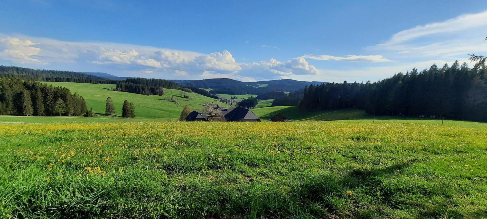 Lorenzenhaeusle Titisee-Neustadt Esterno foto