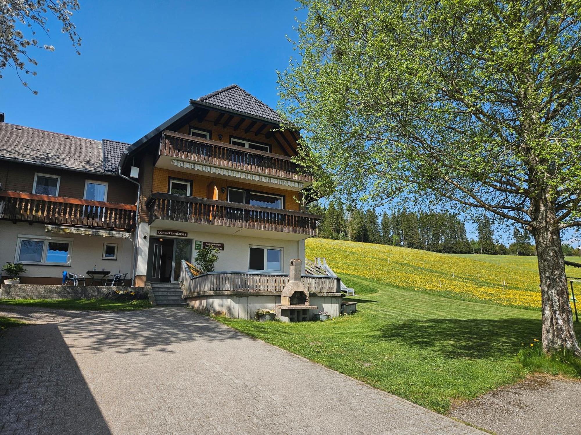 Lorenzenhaeusle Titisee-Neustadt Esterno foto