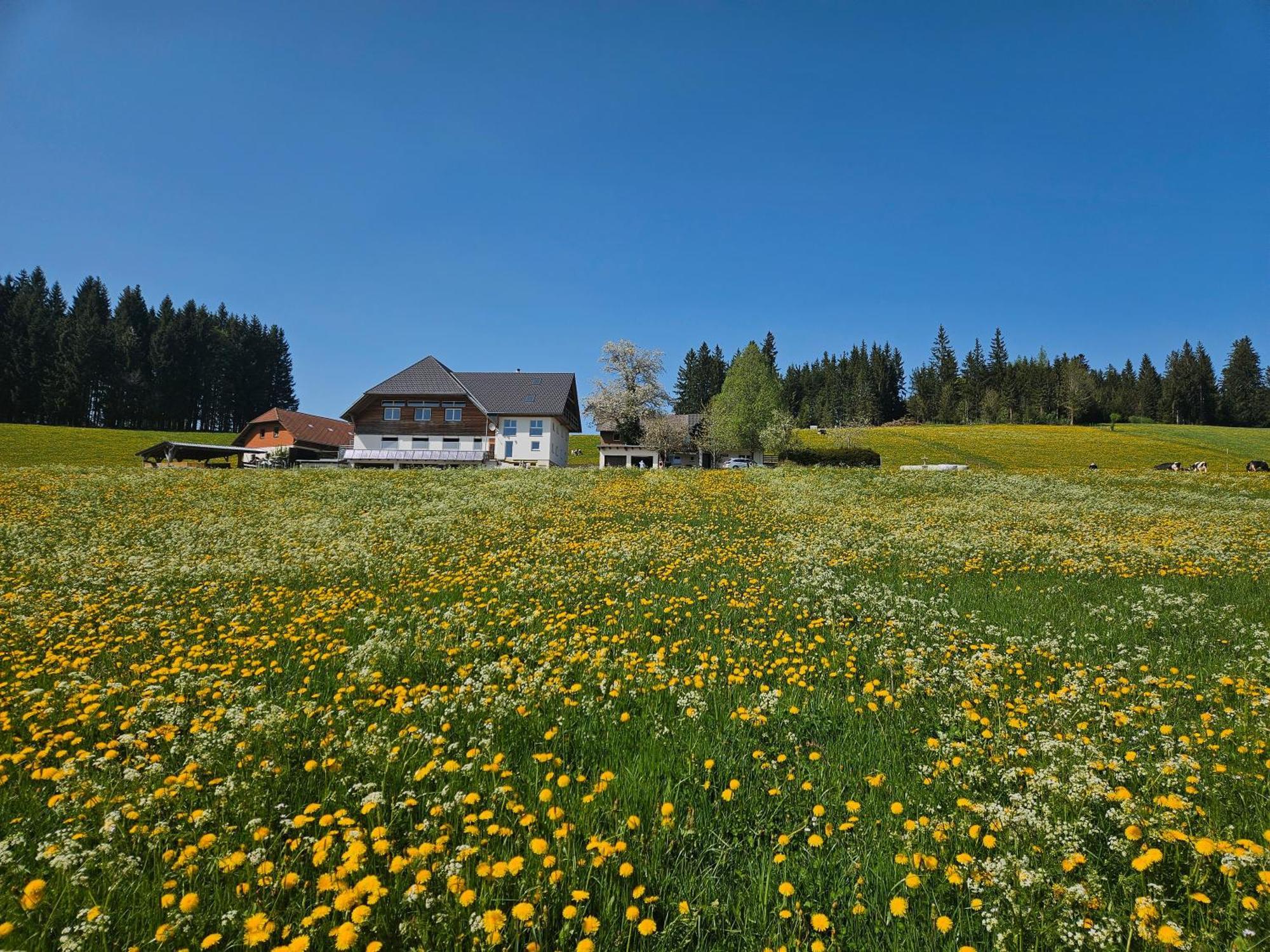Lorenzenhaeusle Titisee-Neustadt Esterno foto