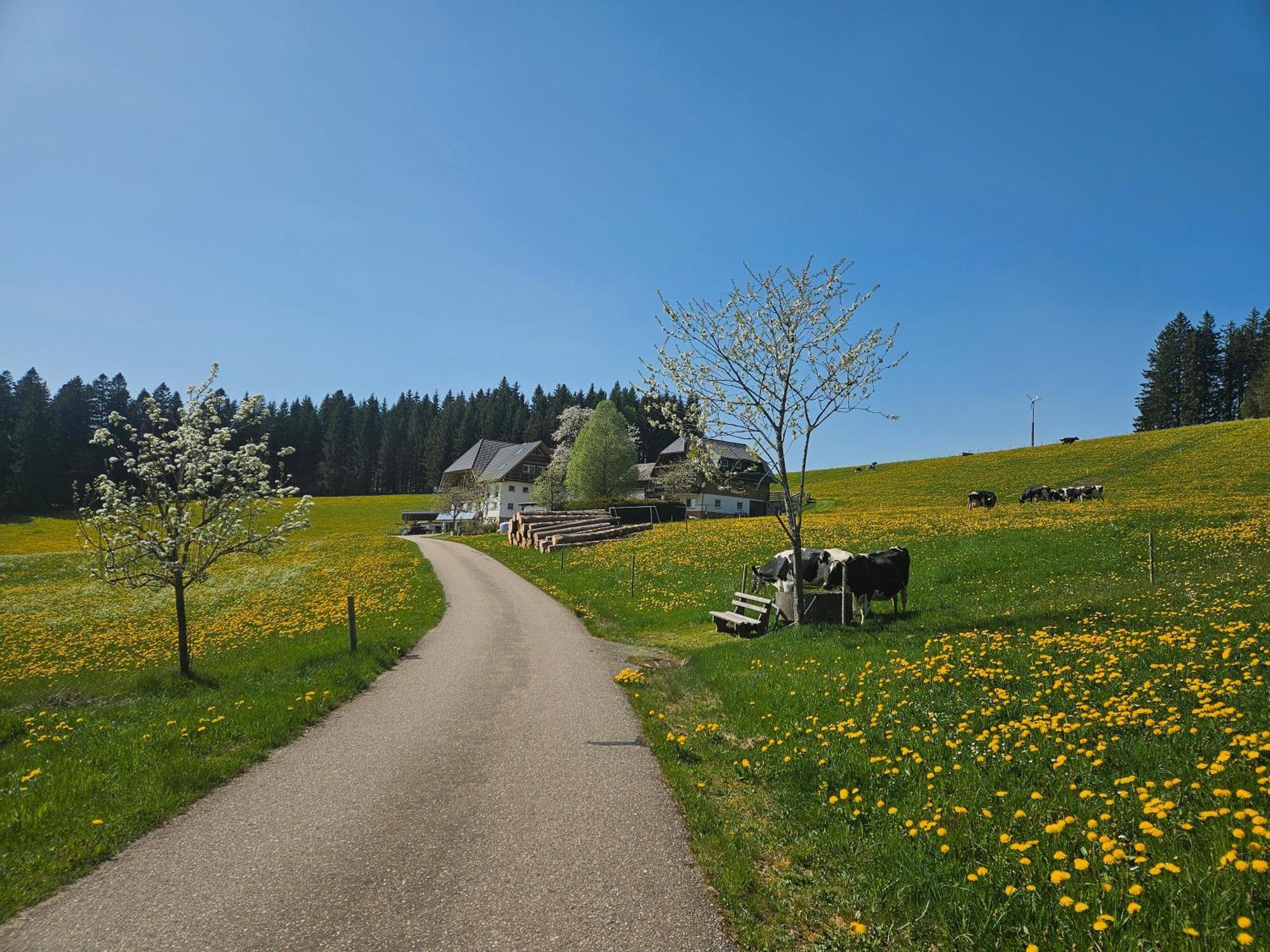 Lorenzenhaeusle Titisee-Neustadt Esterno foto
